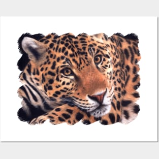 Jaguar Painting Posters and Art